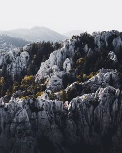 taneli-lahtinen-1027372-unsplash