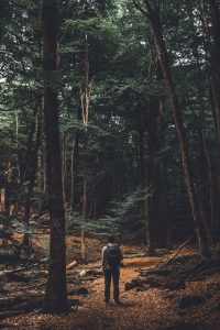 axel-holen-798911-unsplash